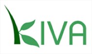 kiva